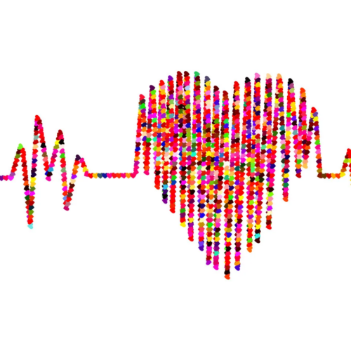ElectroCardiogram-ECG-Home-Visit