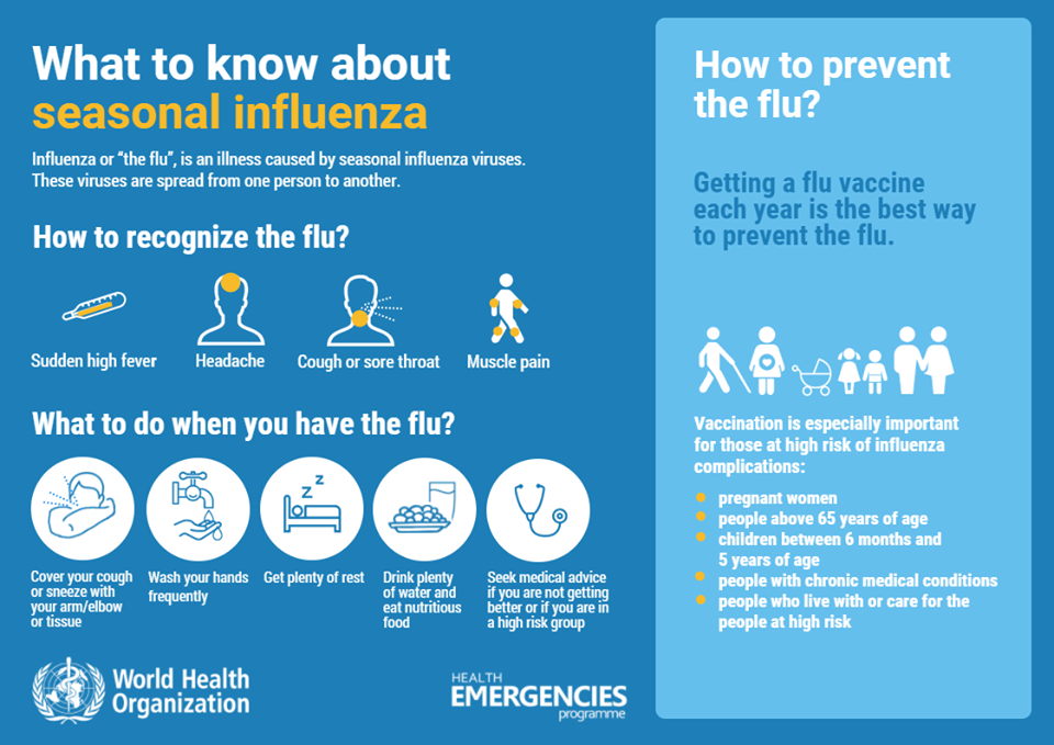 what to know about seasonal influenza