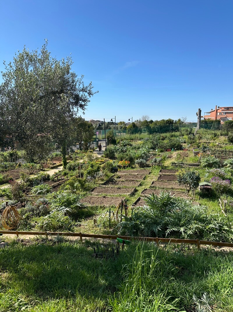 How-Rome’s-Green-Spaces-Combat-City-Living-Challenges (1)