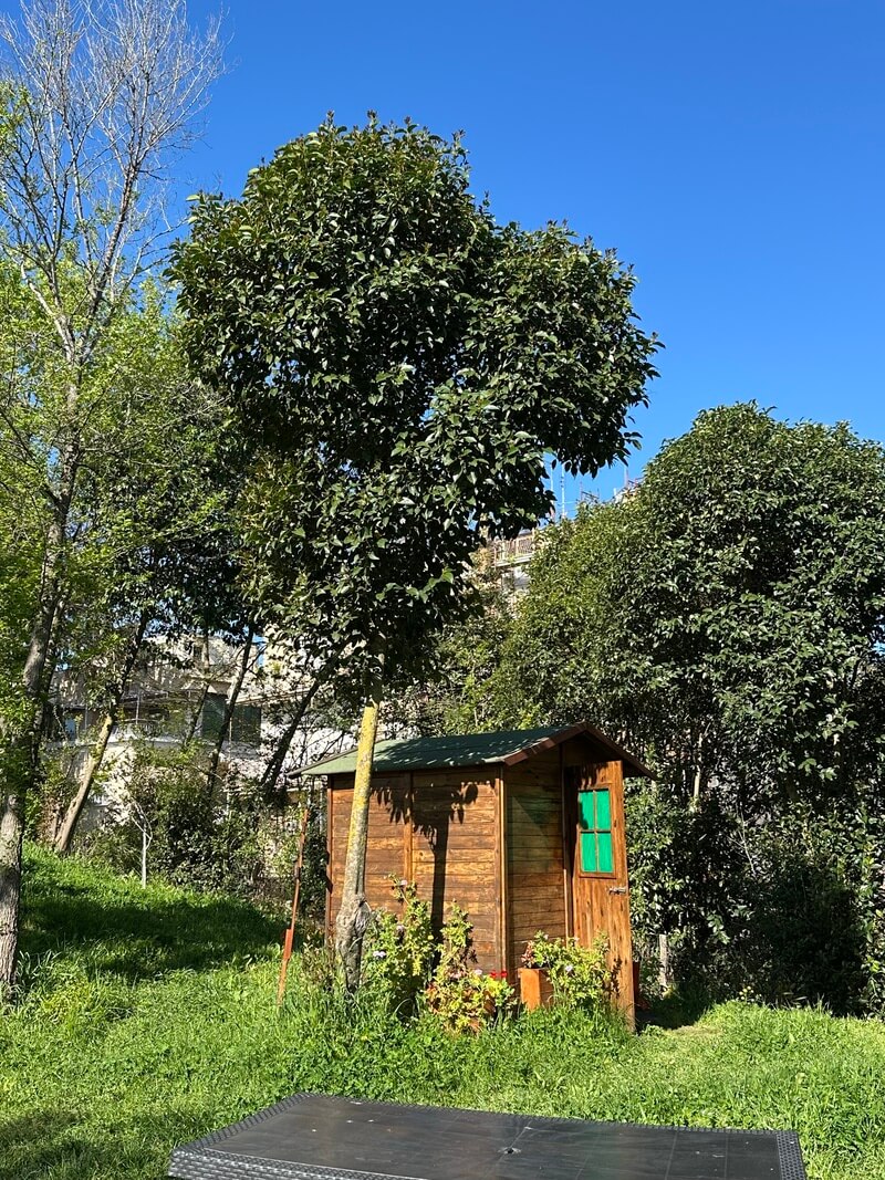 How-Rome’s-Green-Spaces-Combat-City-Living-Challenges