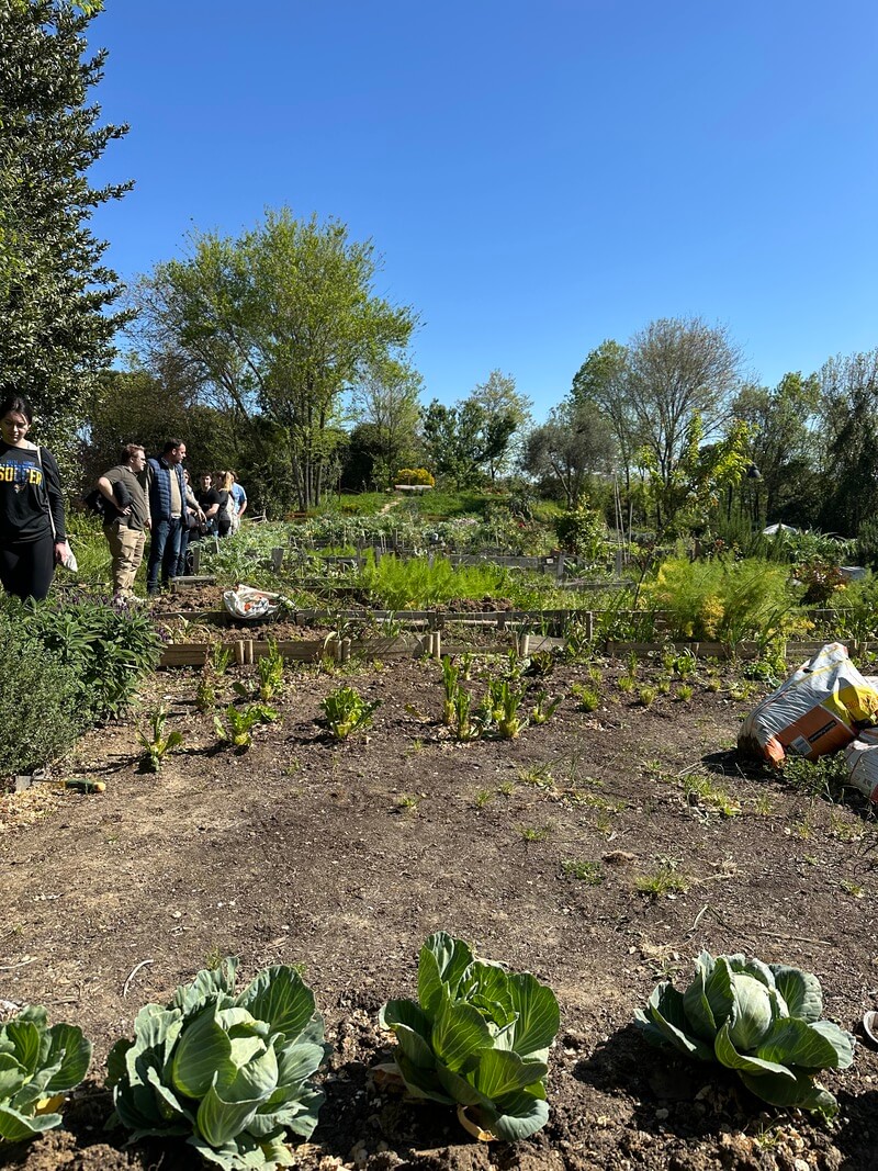 How-Rome’s-Green-Spaces-Combat-City-Living-Challenges