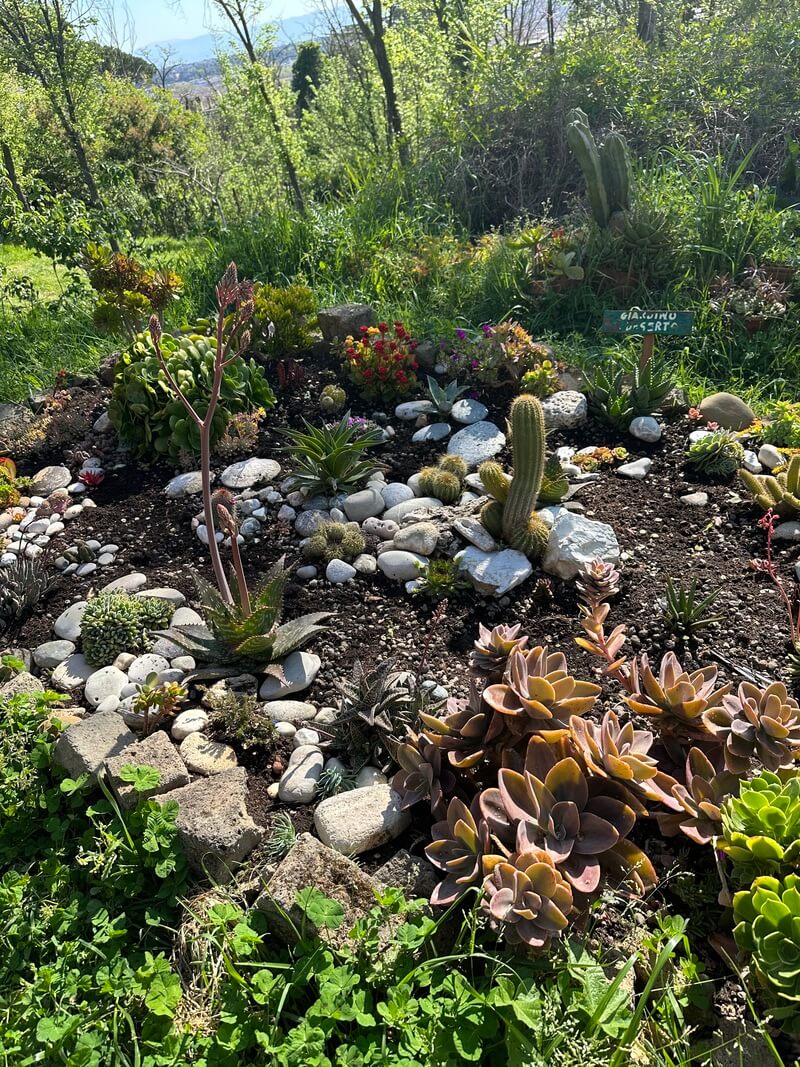 How-Rome’s-Green-Spaces-Combat-City-Living-Challenges