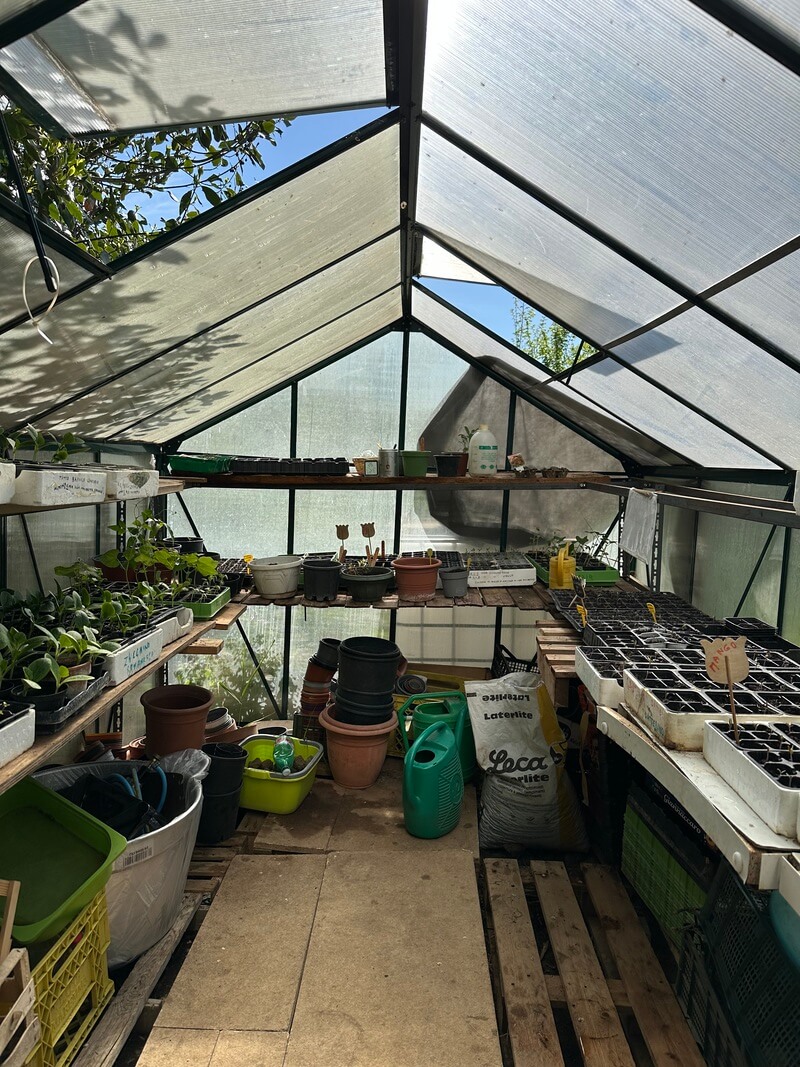 How-Rome’s-Green-Spaces-Combat-City-Living-Challenges